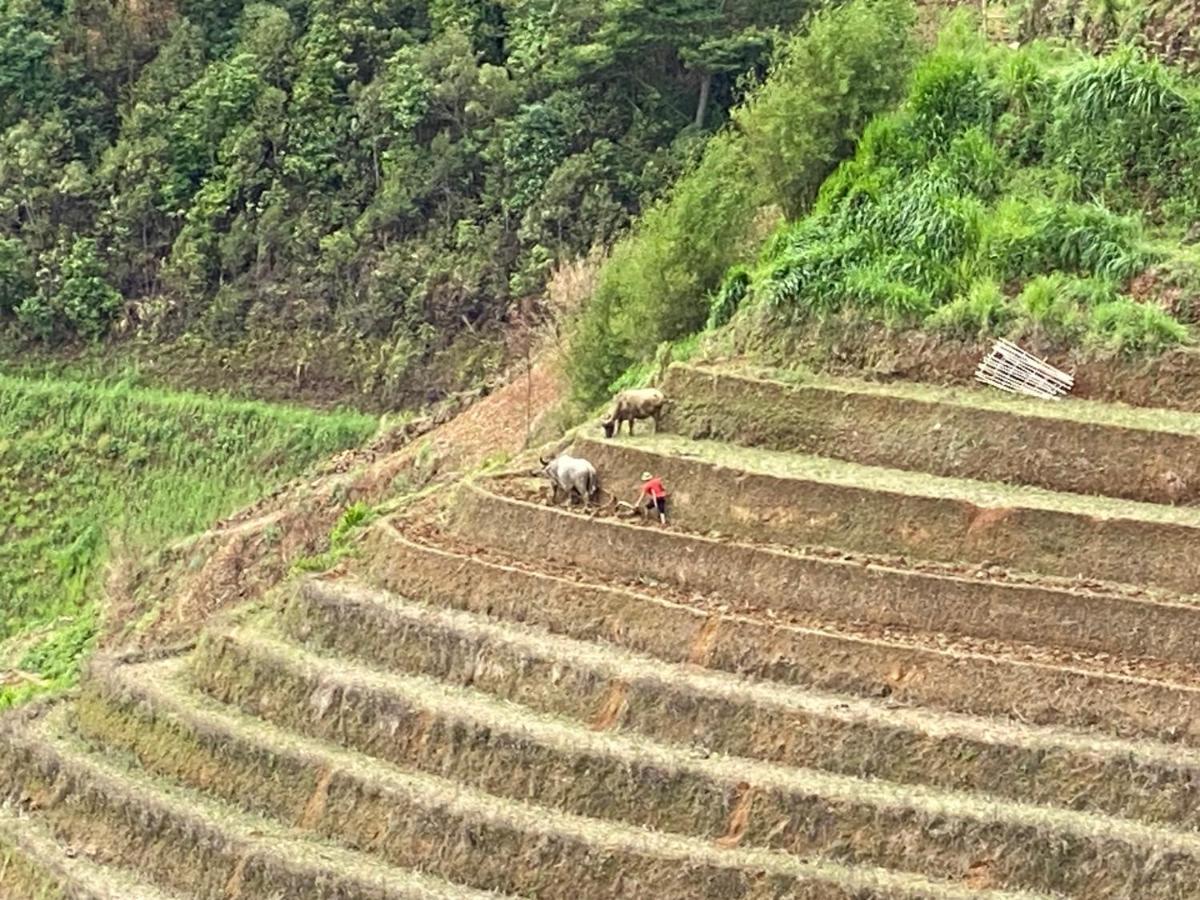 Mu Cang Chai Homestay & Trekking Esterno foto