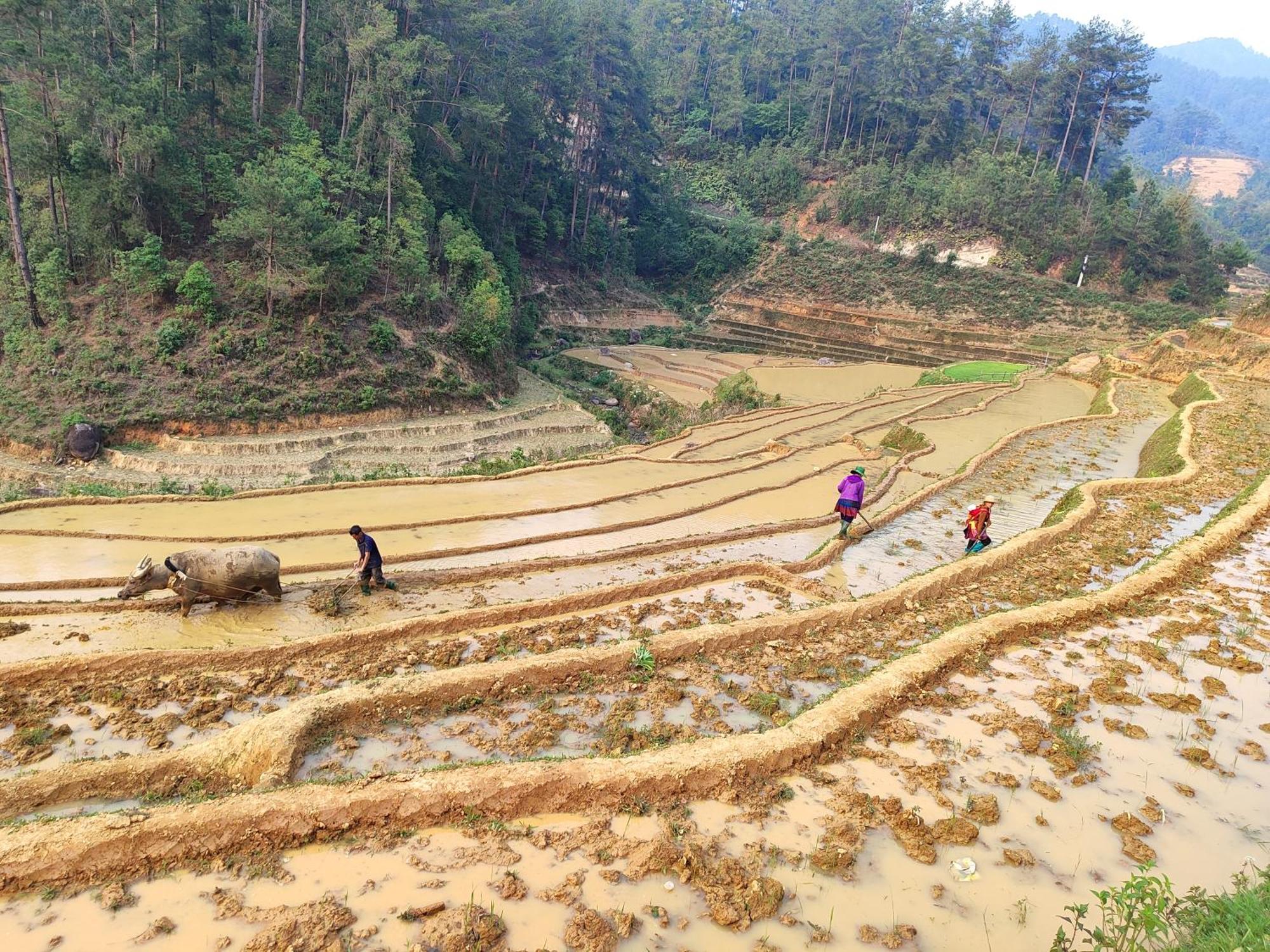 Mu Cang Chai Homestay & Trekking Esterno foto