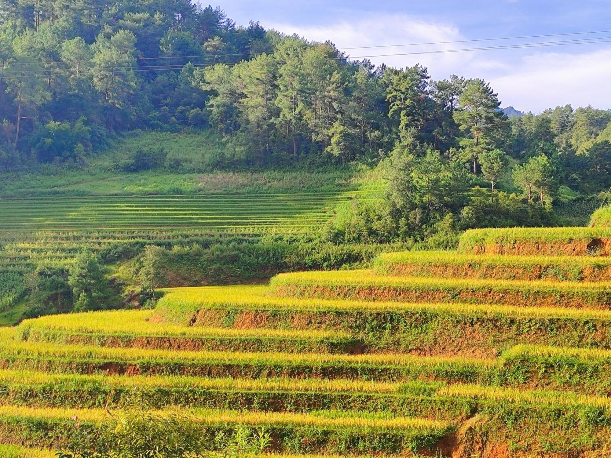 Mu Cang Chai Homestay & Trekking Esterno foto