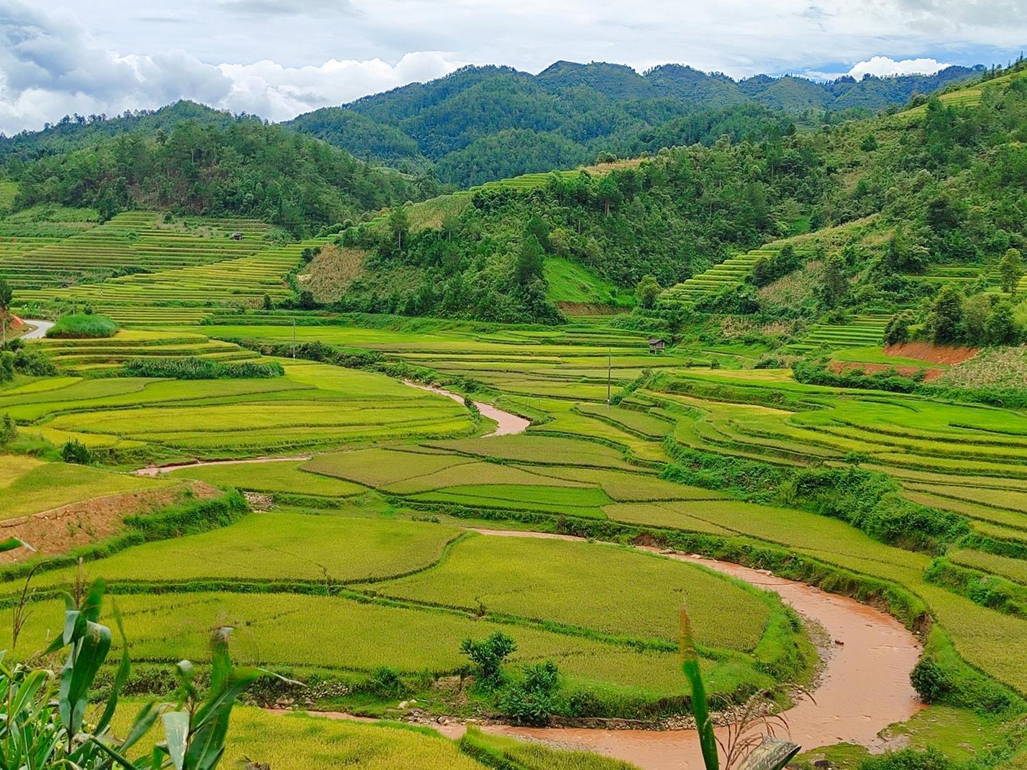 Mu Cang Chai Homestay & Trekking Esterno foto