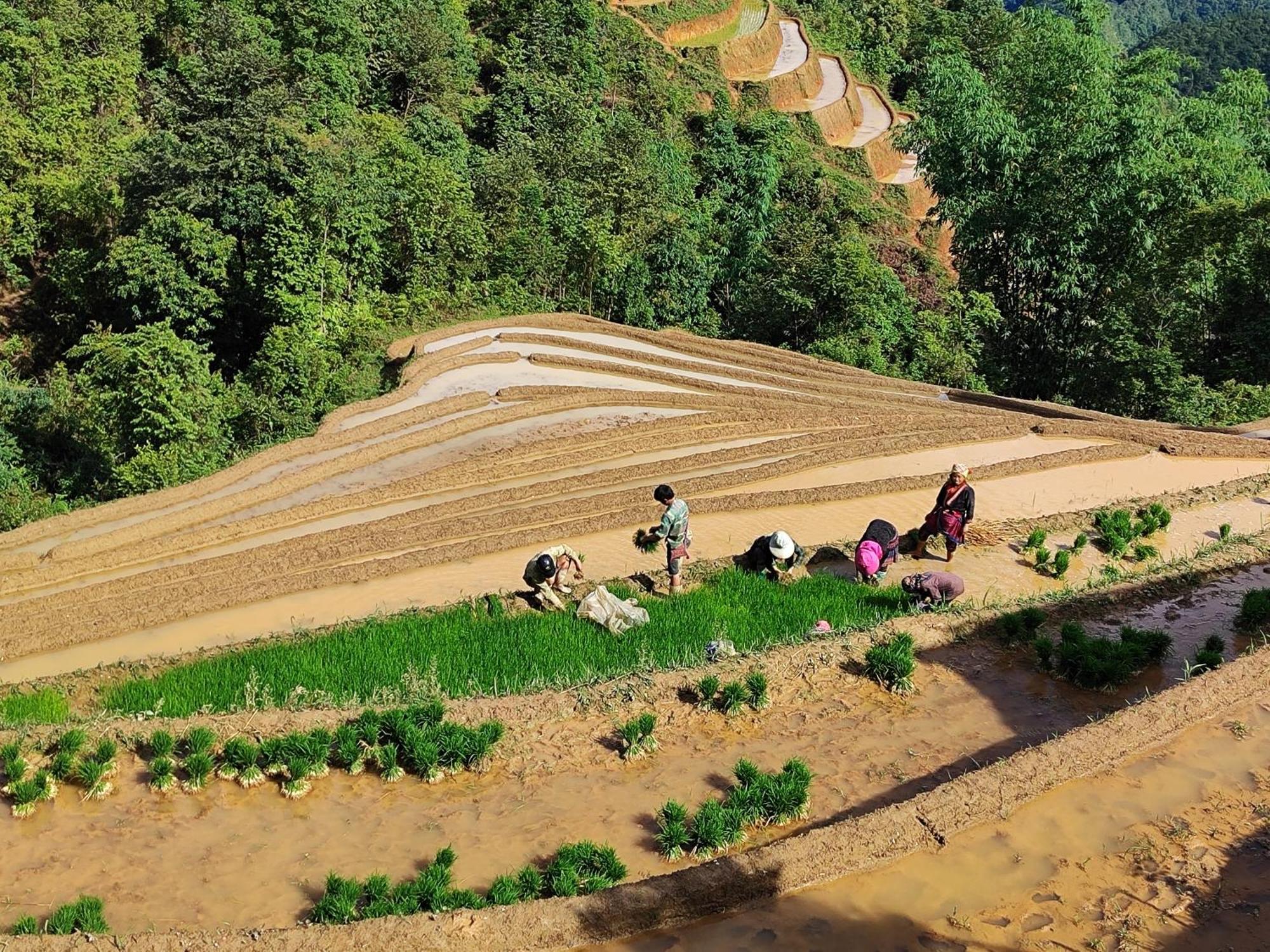 Mu Cang Chai Homestay & Trekking Esterno foto